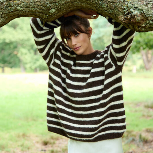 Soft Knit Round Neck Stripe Jumper - ONE / CHOCOLATE