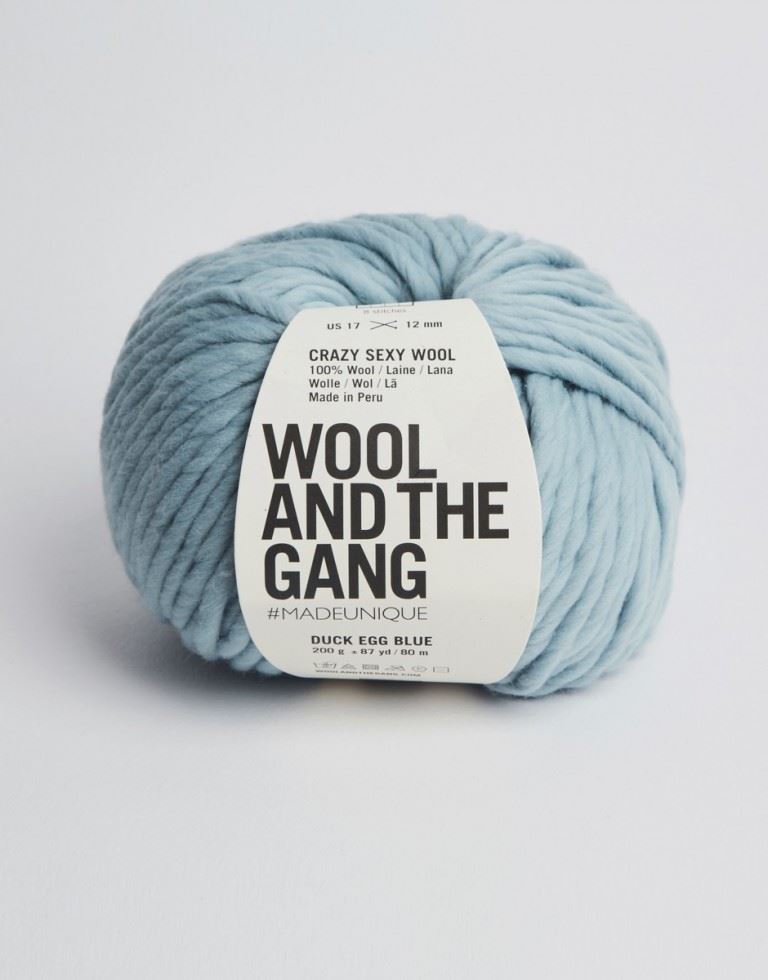 Wool and the Gang Crazy Sexy Wool Super Chunky Yarn Duck Egg Blue