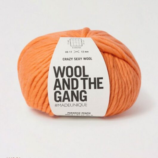 Wool and the Gang Crazy Sexy Wool Super Chunky Yarn Paradise Peach